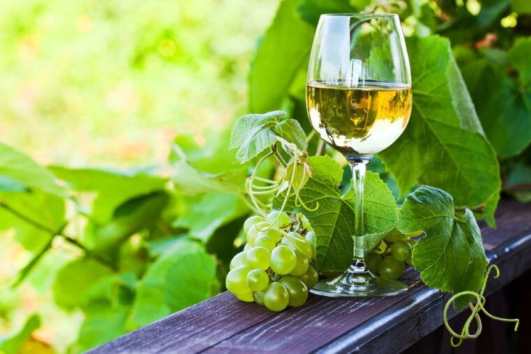vinho-verde-full-day-premium-wine-tour