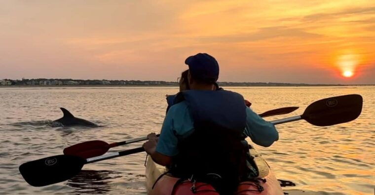 virginia-beach-dolphin-kayak-tour-this-is-a-workout
