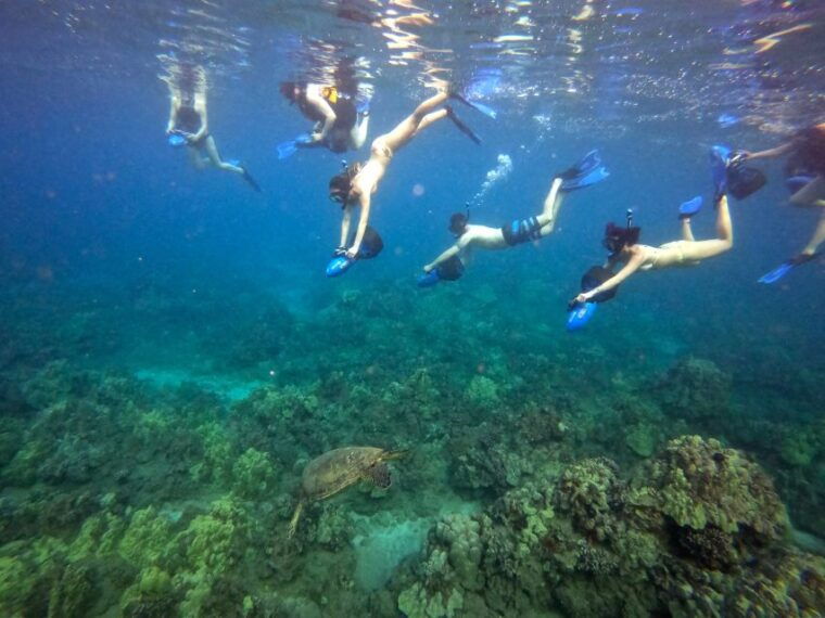 wailea-beach-guided-sea-scooter-snorkeling-tour