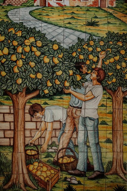 walk-in-the-vineyard-between-history-and-food-and-wine-in-alcamo-estate