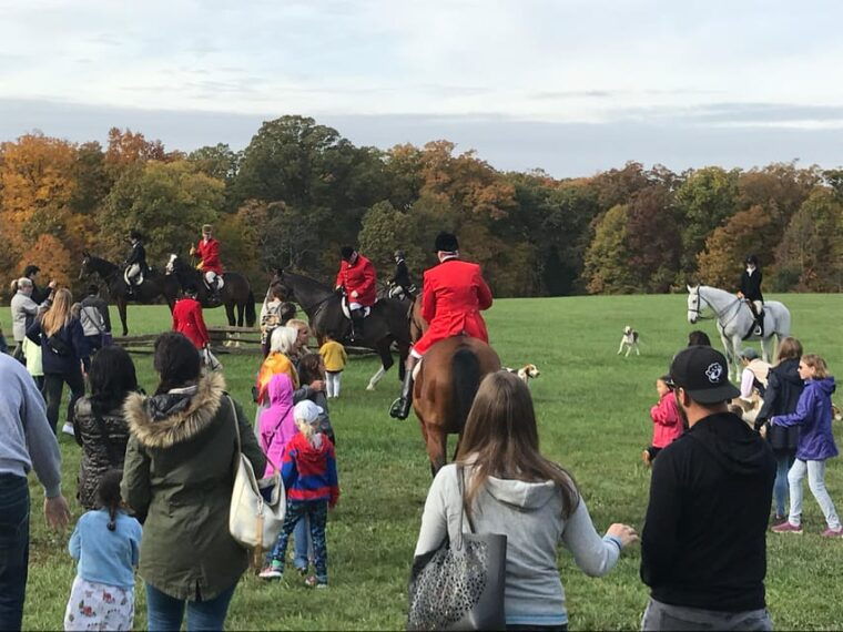 washington-dc-mount-vernon-half-day-tour