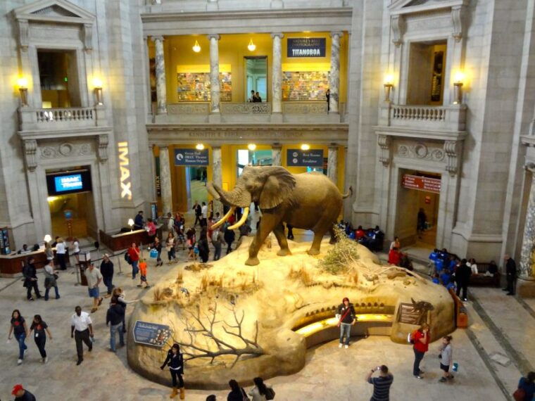 washington-dc-museum-of-natural-history-private-guided-tour