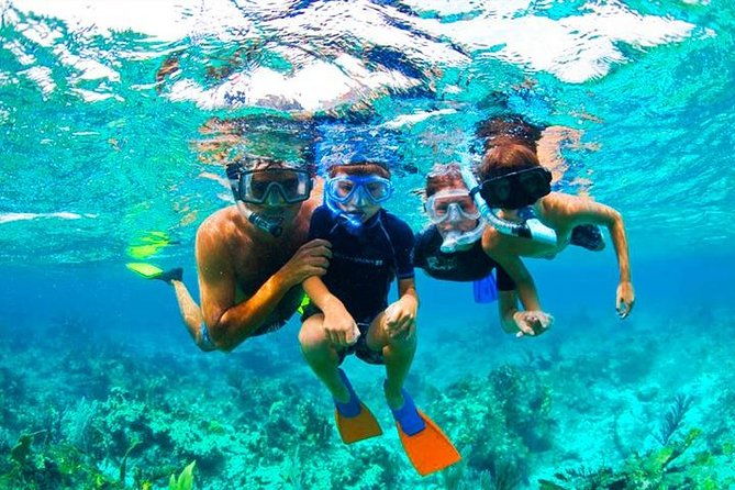 west-bay-aquarium-snorkeling-chocolate-rum-factory-city-tour-plus-transfer
