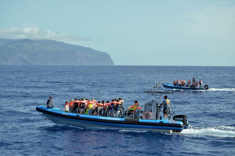 whale-and-dolphin-watching-with-vila-franca-islet-visit