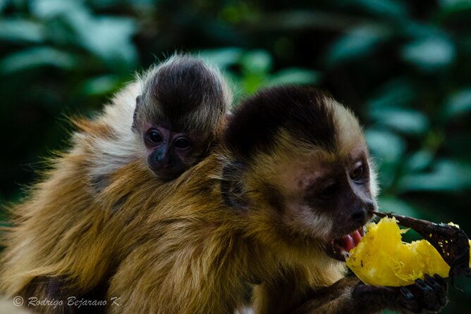 wildlife-rescue-center-in-nature-reserve-near-santa-cruz