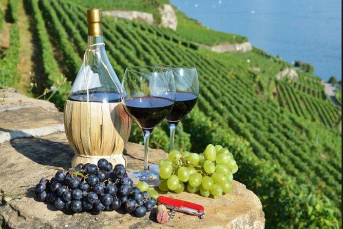 wine-cheese-and-evo-oil-tastings-in-tuscany-full-day-from-rome
