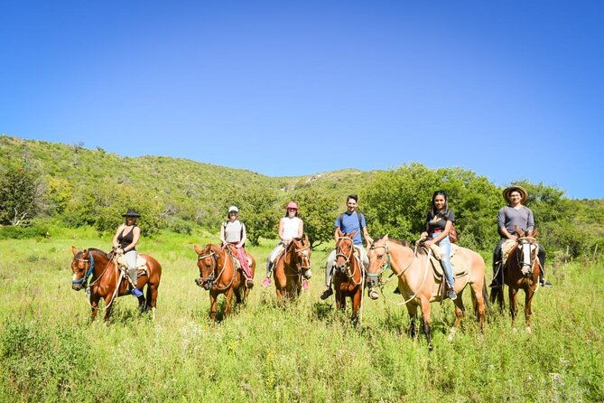wine-horses-wine-tour-in-cordoba-argentina