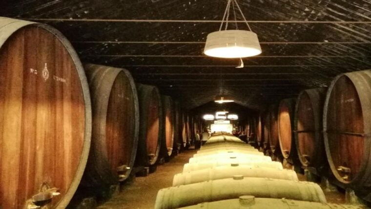 wine-tour-and-traditional-portuguese-tiles-in-half-day-tour