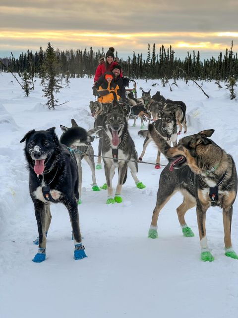 winter-dog-sled-tour-day-or-night-mush