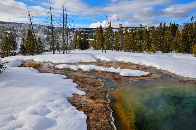 winter-wildlife-safari-in-yellowstone-national-park