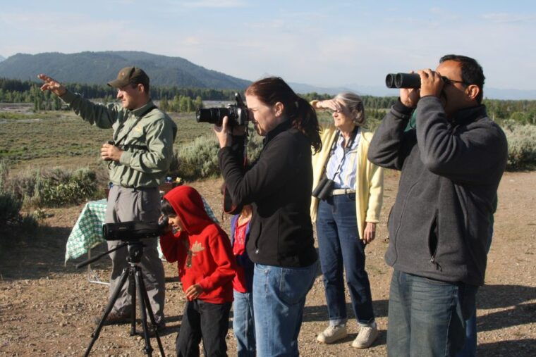 yellowstone-old-faithful-waterfalls-and-wildlife-day-tour