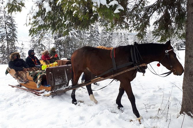 zakopane-and-horse-sleigh-ride-in-the-countryside-private-tour-from-krakow