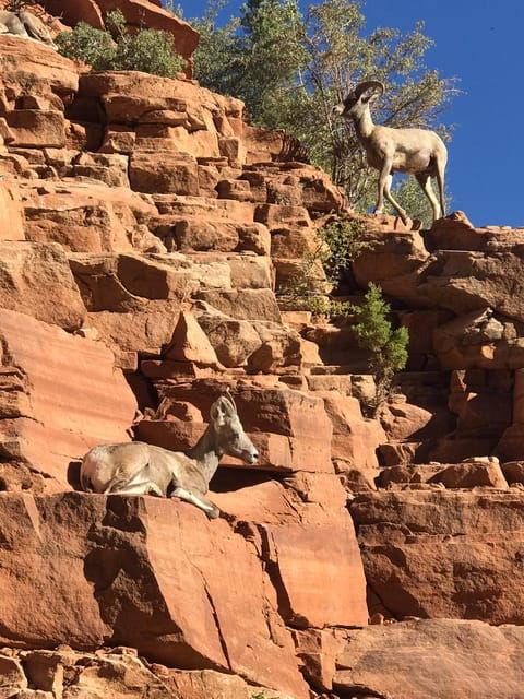 zion-national-park-5-hour-tour-hike-and-drive