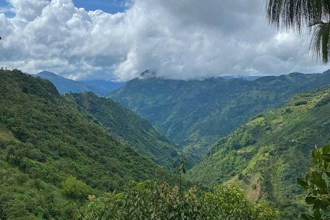 zipline-canopy-tour