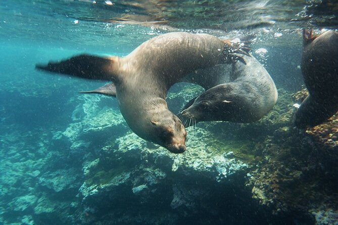 7-days-galapagos-island-hopping-tour-in-ecuador