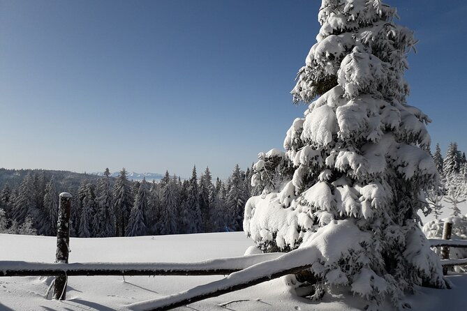 1-day-private-snowshoe-hike-in-the-gorce-mountains-near-krakow