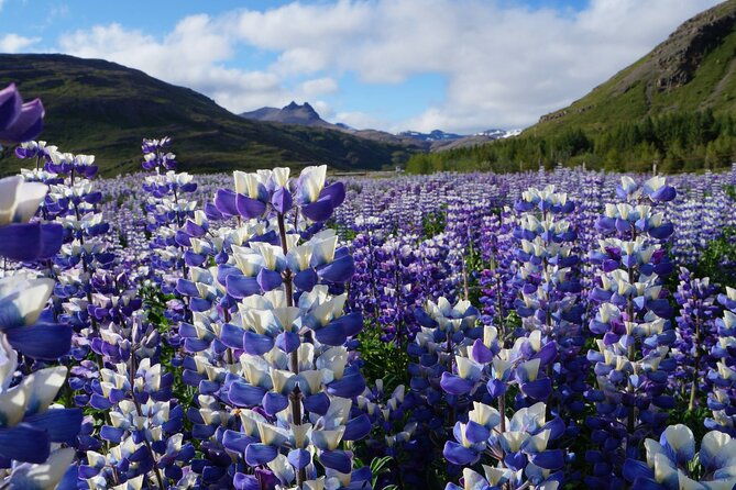 10-days-iceland-ring-road-in-depth-private-tour