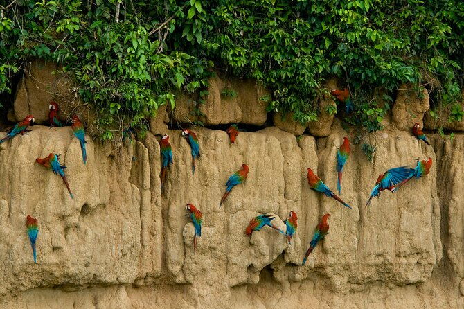 2-day-private-tour-in-tambopata-amazon