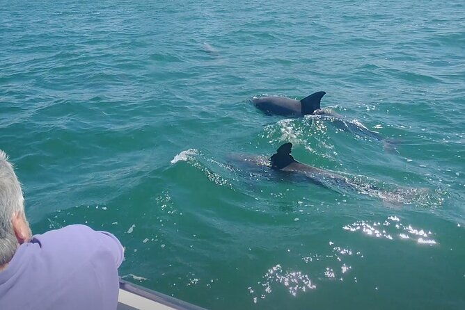 2-hour-private-boat-tour-in-clearwater-florida