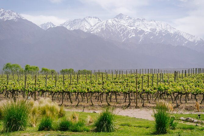 3-day-mendoza-enchanted-vine-retreat-with-optional-airfare