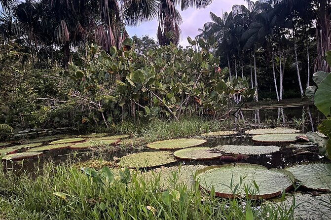 3-days-2-nights-culture-and-nature-of-the-colombian-amazonas