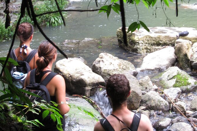 3-days-jungle-tour-expedition-amazonia-in-ecuador-rainforest