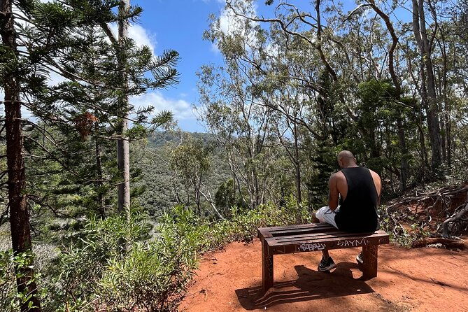 3-hours-private-hiking-and-bushwalking-in-the-aiea-loop-trail