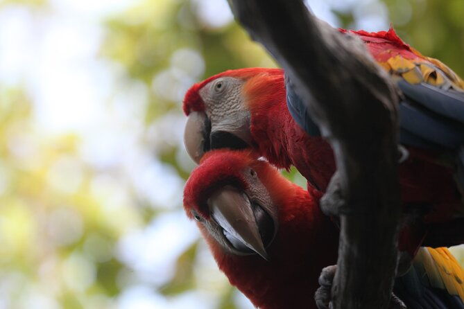 4-day-private-tour-from-volcanoes-route-to-the-amazon-rainforest