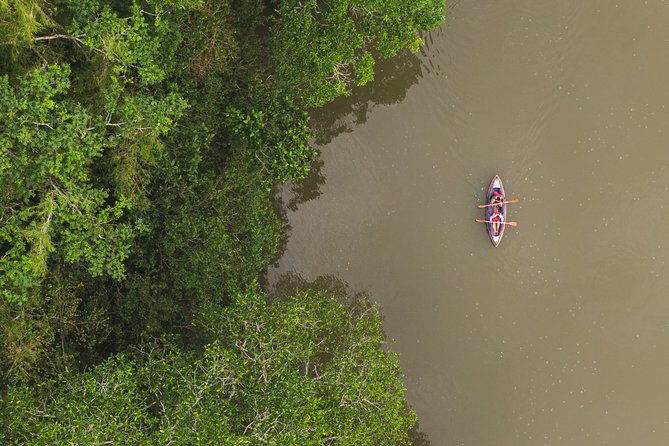 4-day-trip-to-cano-cristales-the-river-of-many-colors-and-the-jungle