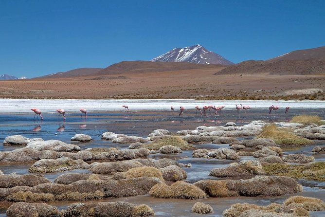 4-days-experience-at-uyuni-salt-flat-from-san-pedro-de-atacama