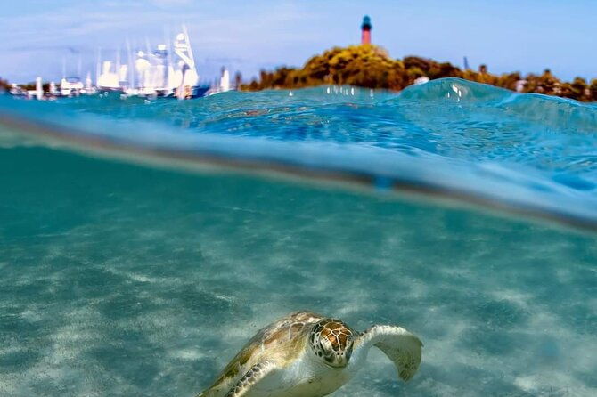 4-hour-narrated-sightseeing-tours-sunset-trips-west-palm-beach