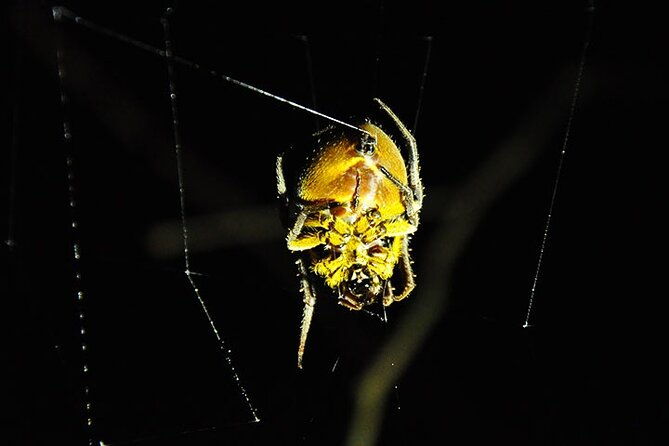 5-days-cuyabeno-amazon-jungle-with-accommodation-in-tucan-lodge