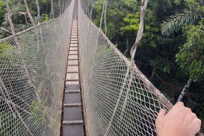 6-day-all-inclusive-guided-jungle-tour-from-iquitos-at-maniti-eco-lodge