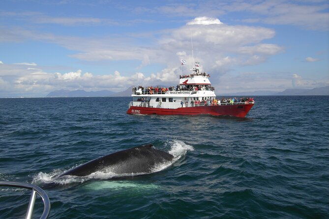 6-day-iceland-ring-road-highlights-tour-with-accommodation