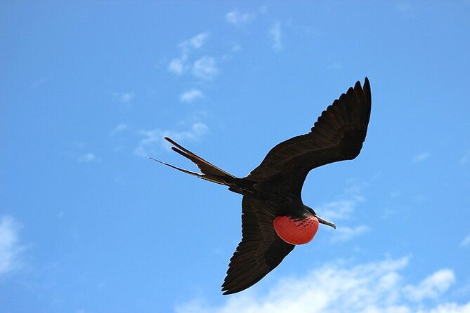 7-days-galapagos-island-hopping-tour-in-ecuador