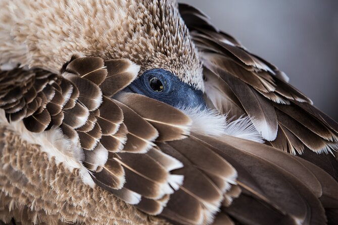 8-day-full-pack-galapagos-multi-sport-adventure-4-5-island-tour