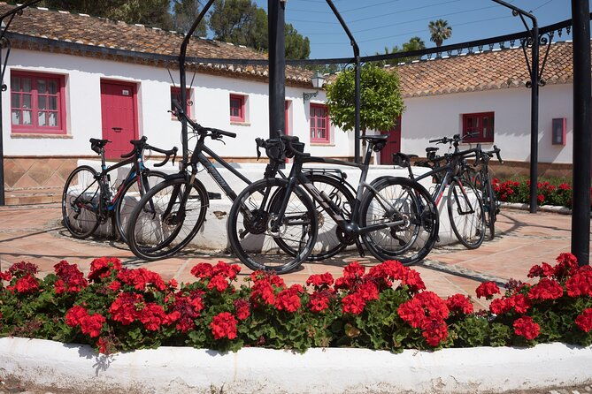 8-day-guided-cycling-and-walking-tour-of-andalusia-spain