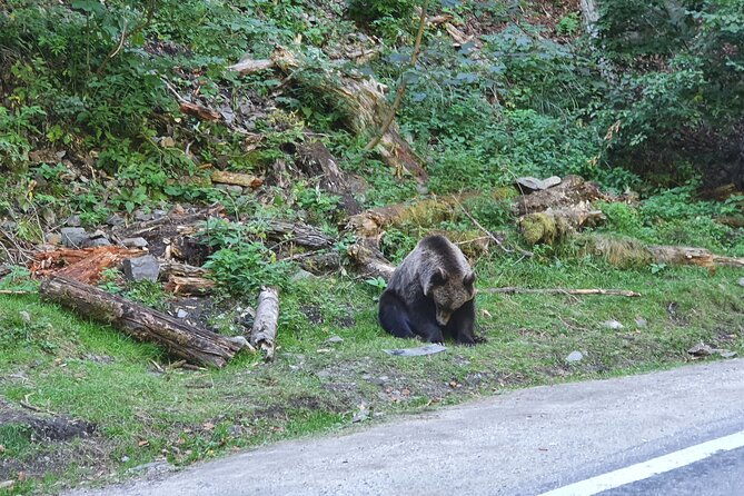 8-days-private-tour-in-romania-transylvania-maramures-moldova