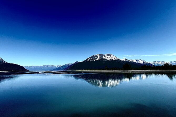a-guided-alaskan-escape-wildlife-sanctuary-and-glacier-hiking