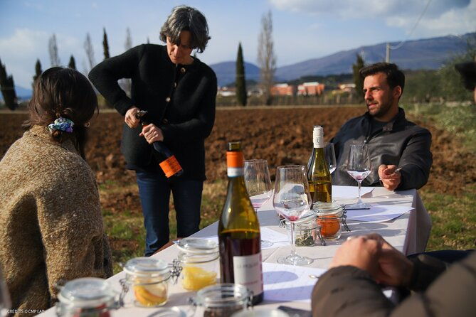 a-journey-into-wines-tastes-and-aromas