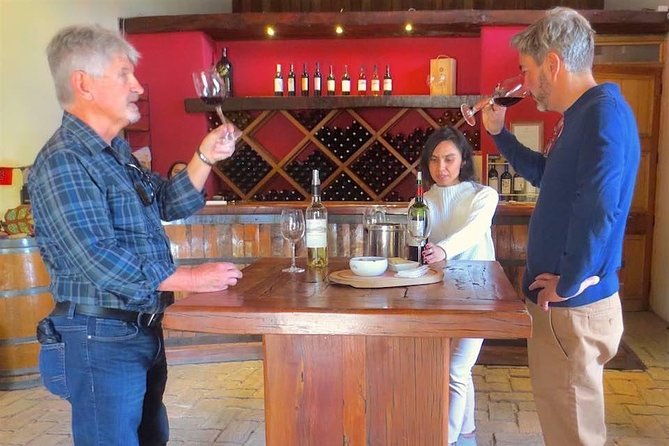 aconcagua-private-wine-lovers-premium-tour