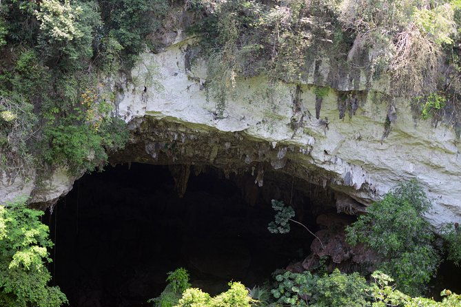 adrenaline-pumping-black-hole-drop-rappelling-at-ian-andersons-caves-branch