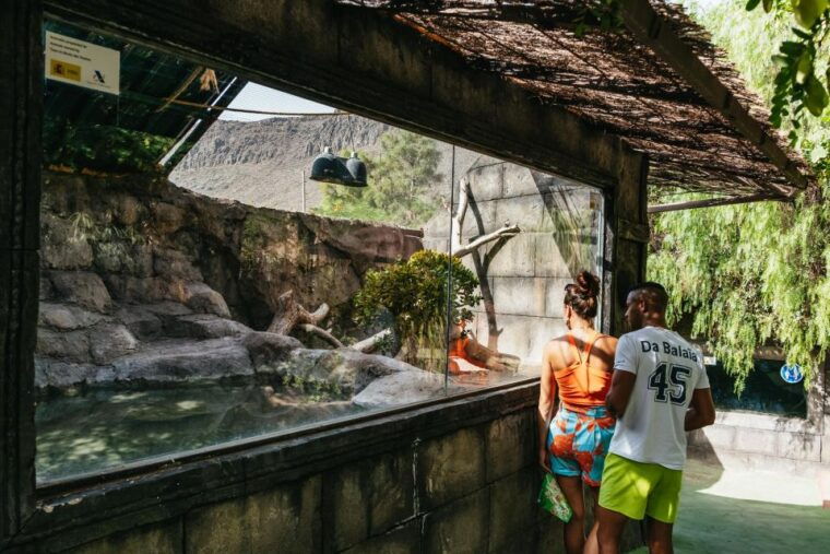 aguimes-crocodile-park-zoo-entry-ticket