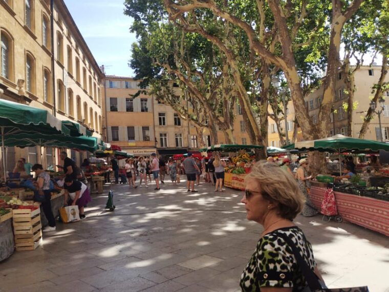 aix-en-provence-discovery-of-prestigeous-wineries-and-art