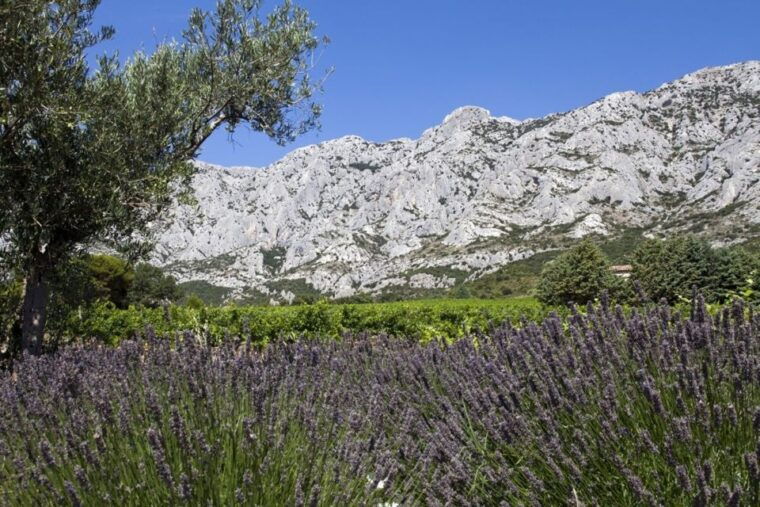aix-hills-sainte-victoire-wine-tour-cezanne-mill-visit