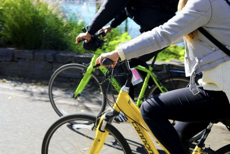 alexandria-va-bike-rentals