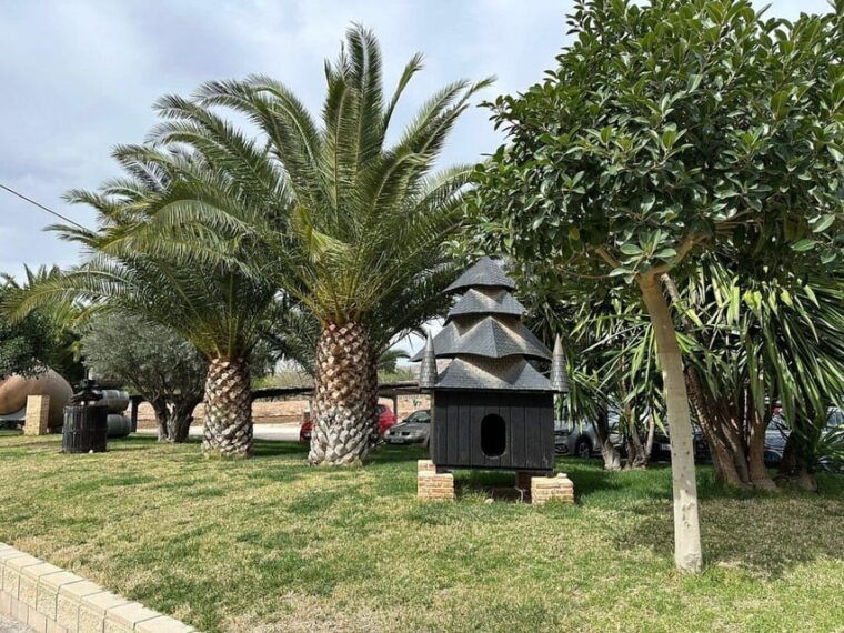 alicante-old-winery-tour-wine-tasting-including-transfer