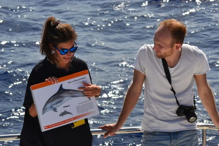all-inclusive-whale-and-dolphin-watching-luxury-tour