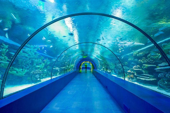 antalya-aquarium-tour-platinium-tour