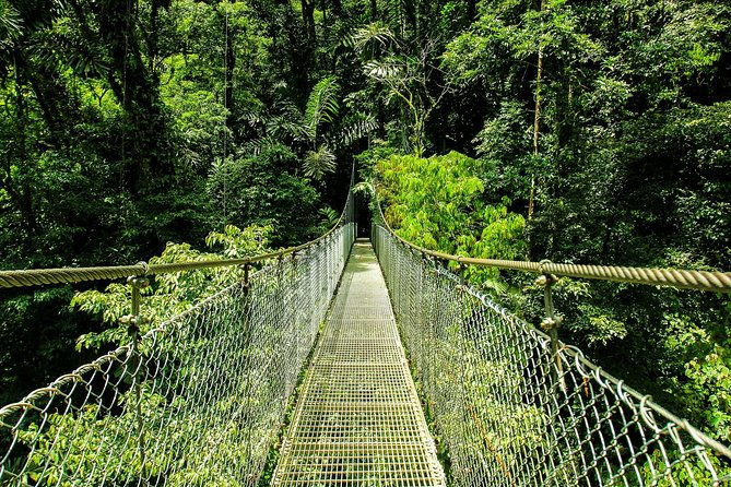arenal-discovery-adventure-3hanging-bridges-waterfall-lunch